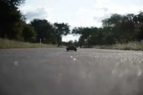 Zuid Afrika 25 — Zuid Afrika